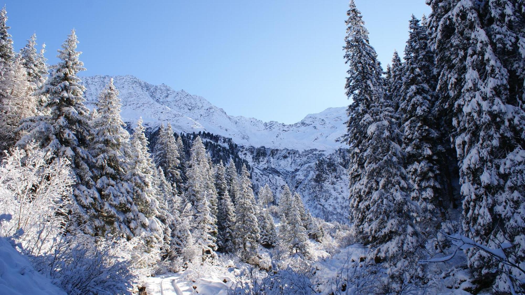 S'Landhaus Neustift im Stubaital Buitenkant foto